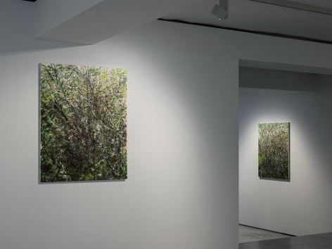 Installation View of&nbsp;Kim Jiwon: LEMON&nbsp;at PKM+. Courtesy of PKM Gallery.