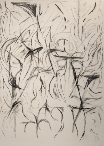 Peppi Bottrop.&nbsp;pnk nght, 2021, Graphite and coal on canvas, 186 x 133 cm.&nbsp;Courtesy of the artist, Meyer Riegger, Berlin/Karlsruhe, and PKM Gallery, Seoul.